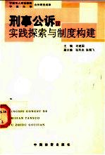 刑事公诉的实践探索与制度构建