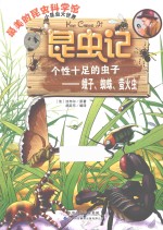 昆虫记 个性十足的虫子 蛾子、蜘蛛、萤火虫