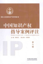 中国知识产权指导案例评注 中国法院知识产权司法保护10大案件、10大创新性案件和50件典型案例全文及评述 第6辑