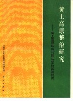 黄土高原整治研究  黄土高原环境问题与定位试验研究