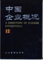 中国企业概况 12