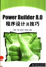 Power Builder 8.0程序设计及技巧