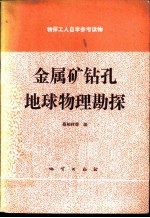 金属矿钻孔地球物理勘探