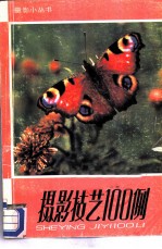 摄影技艺100例