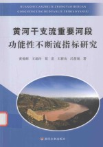 黄河干支流重要河段功能性不断流指标研究