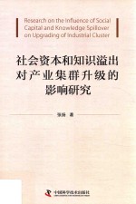 社会资本和知识溢出对产业集群升级的影响研究