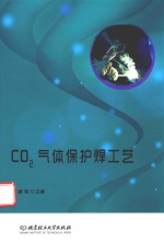 CO2气体保护焊工艺 GZS