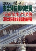 安全评价机构管理与安全生产评价及重大责任事故认定处理实施手册 第3卷