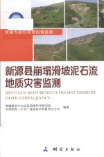 新源县崩塌滑坡泥石流地质灾害监测