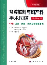 盆腔解剖与妇产科手术图谱  中：宫颈、阴道、外阴及会阴部手术  原书第4版