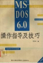 MS-DOS 6.0操作指导及技巧