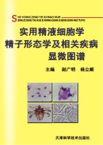 实用精液细胞学、精子形态学及相关疾病显微图谱