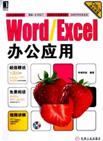 Word/Excel办公应用