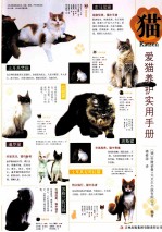 猫 爱猫养护实用手册