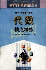 初中一年级第一学期 代数 精点精炼 第3版