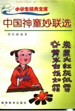 中国神童妙联选