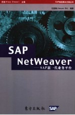 SAP NetWeaver SAP新一代业务平台