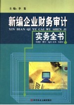 新编企业财务审计实务全书 上