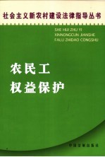 农民工法律权益保护