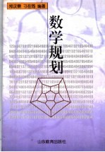 数学规划