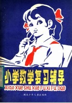 小学数学复习辅导