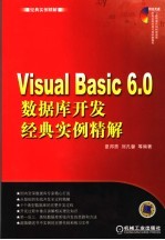 Visual Basic 6.0数据库开发经典实例精解