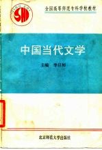 中国当代文学