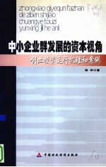 中小企业群发展地资本视角 创业投资运行机理和案例