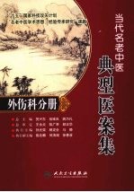 当代名老中医典型医案集  外伤科分册