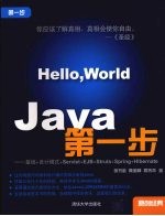 Java 第一步：基础+设计模式+Servlet+EJB+Struts+Spring+Hibernate