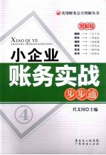 小企业账务实战步步通 图解版