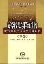 好学校是怎样诞生的 中等职业学校办学实践报告 下