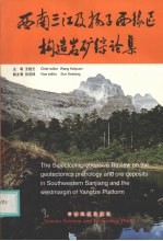 西南三江及扬子西缘区构造岩矿综论集