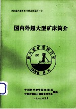 国内外超大型矿床简介