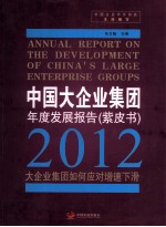 中国大企业集团年度发展报告 2012