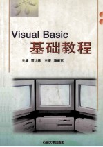 Visual Basic基础教程