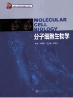 分子细胞生物学