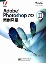 Adobe Photoshop CS2案例风暴 2