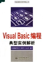 Visual Basic编程典型实例解析