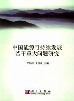 中国能源可持续发展若干重大问题研究 2007