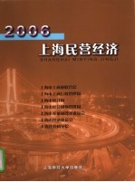 2006上海民营经济