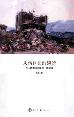 从伤口长出翅膀  芦山地震灾区重建一线实录