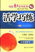 新课标活学巧练 化学 九年级 上 人教版