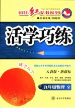 新课标活学巧练 物理 九年级 上 人教版