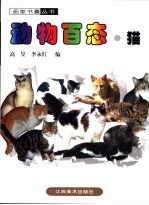 动物百态 猫