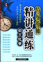 特级教师精讲通练 初三化学