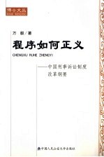 程序如何正义 中国刑事诉讼制度改革纲要