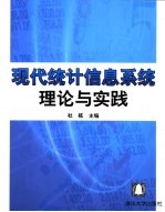 现代统计信息系统理论与实践