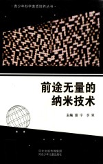 青少年科学素质培养丛书  前途无量的纳米技术