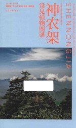 神农架生物学野外综合实习指导丛书 神农架 常见植物图谱